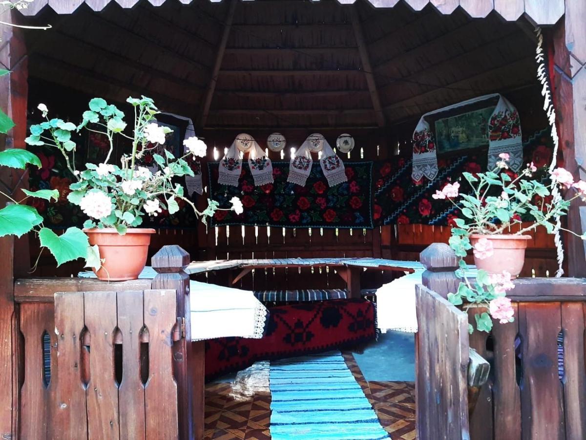 Pensiunea Maria Sighetu Marmaţiei Exterior foto